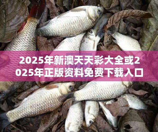 2025年新澳天天彩大全或2025年正版资料免费下载入口，重点释义、解释与落实,警惕不实的钓鱼钩