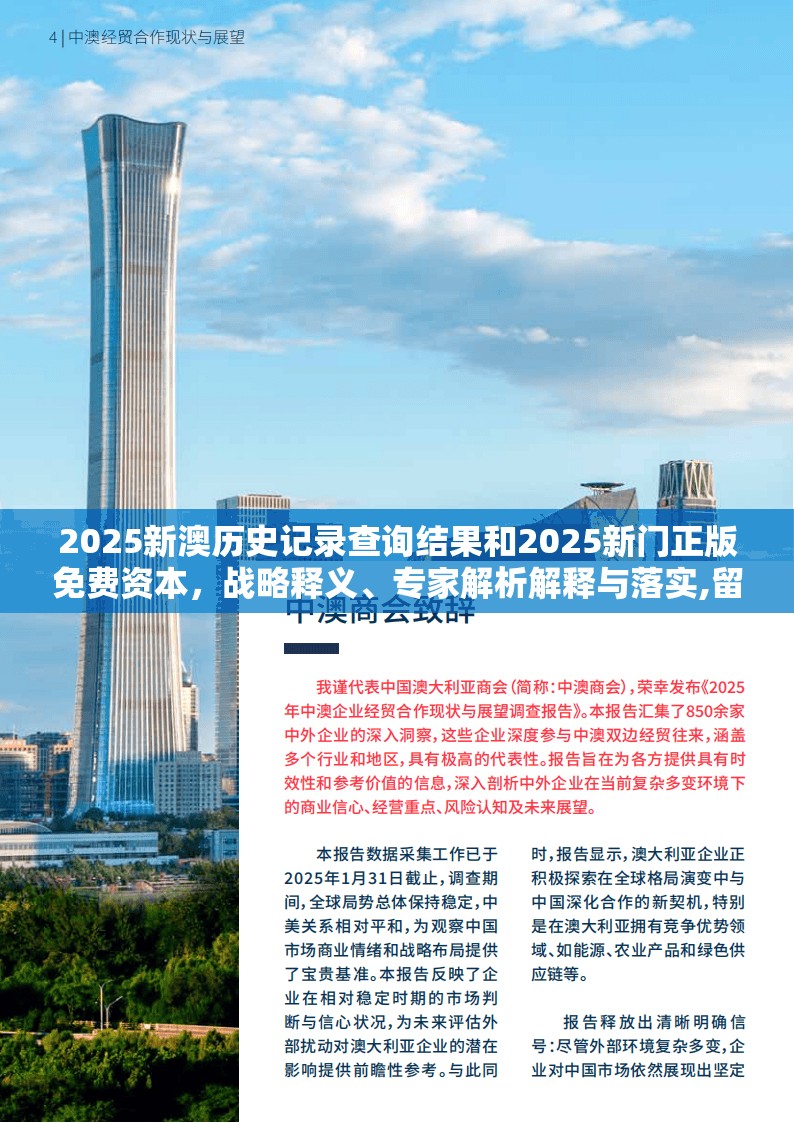 战略释义与落实防止欺诈营销