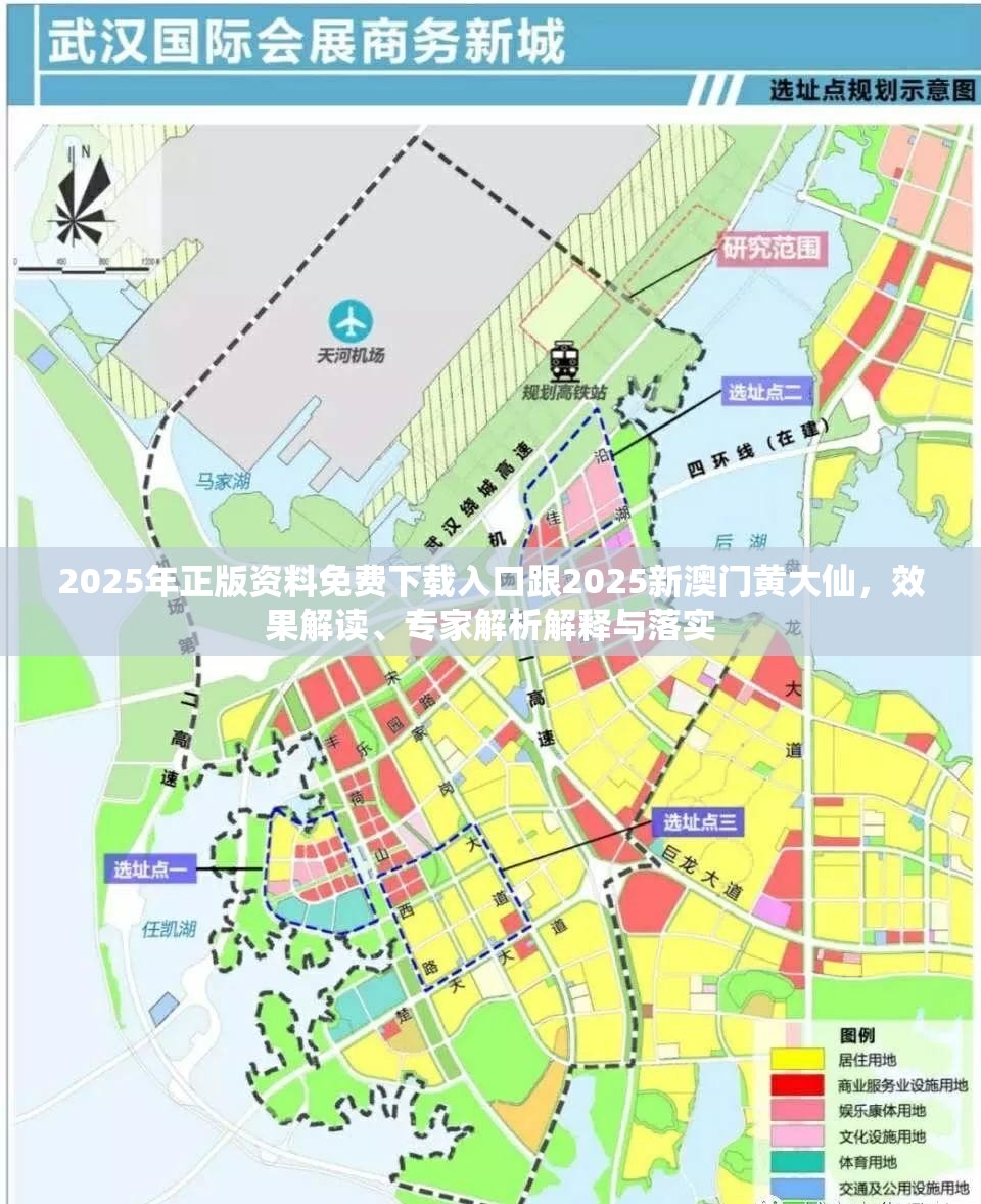 2025年正版资料免费下载入口跟2025新澳门黄大仙，效果解读、专家解析解释与落实